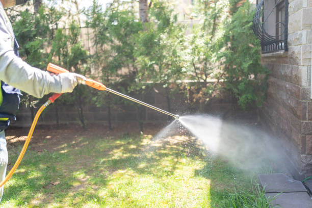 Best Pest Prevention Services  in Bound Brook, NJ